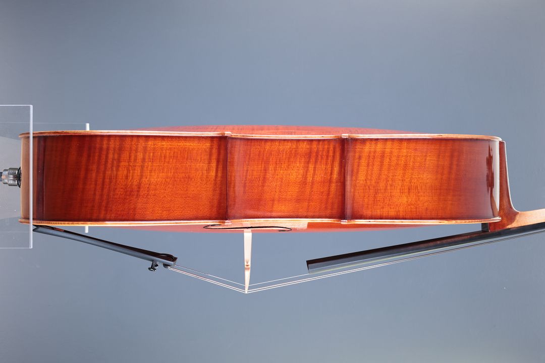 Klotz Julia - Mittenwald Anno 2026 - Palmkatzl - C-436